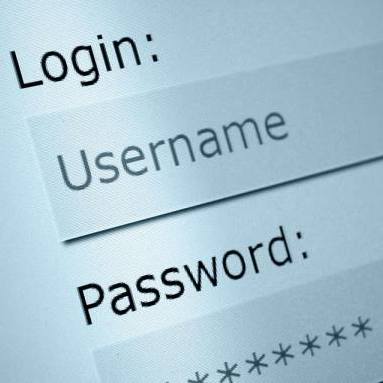 SAFETY FROM PASSWORD HACKING