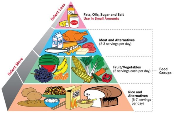 Balanced Diet, Food Additives, Food Adulteration, Food Fortification
