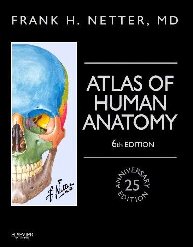 free download atlas of human anatomy pdf